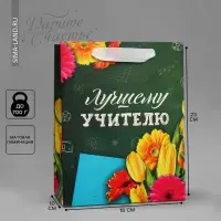 Пакет подарочный ламинированный, упаковка, «Лучшему Учителю», MS 18 х 23 х 10 см