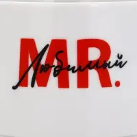 Чайная пара &laquo;Мистер&raquo;, 220 мл