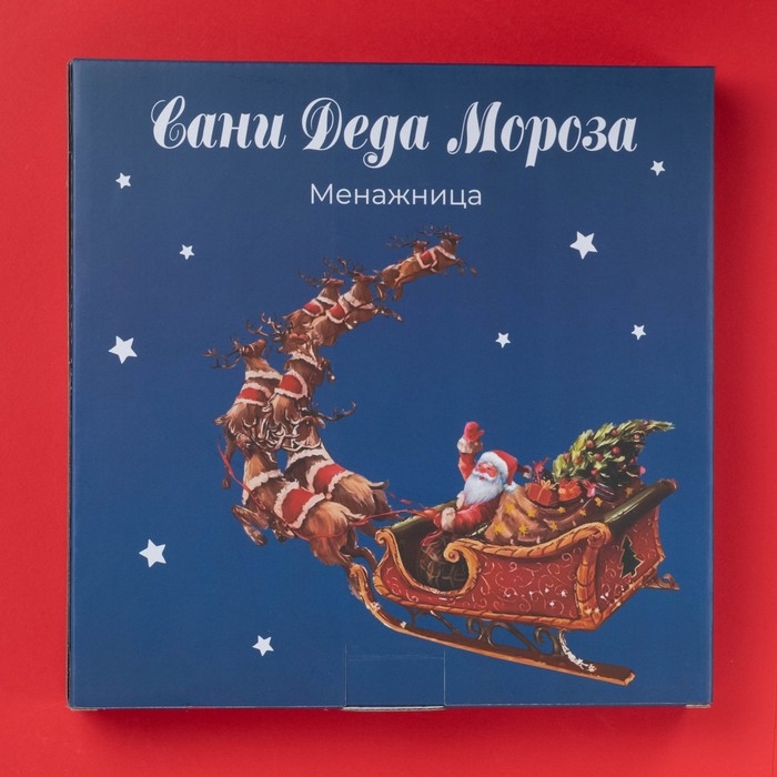 Менажница новогодняя Доляна «Сани Деда Мороза», 5 ячеек, 25,5×3,1 см, керамика, цвет белый Менажница новогодняя Доляна «Сани Деда Мороза», 5 ячеек, 25,5×3,1 см, керамика, цвет белый