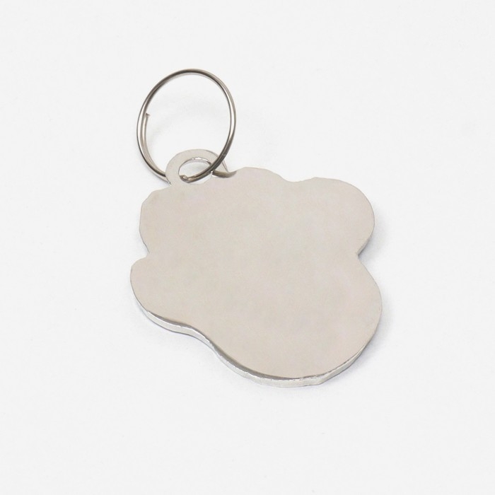 Адресник под гравировку  Адресник под гравировку "Лапа", фасовка по 6 шт, 2,6 х 3,2 см, микс цветов