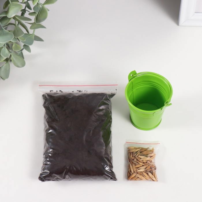 Набор для выращивания растений Набор для выращивания растений "Вырасти травку" ведерко