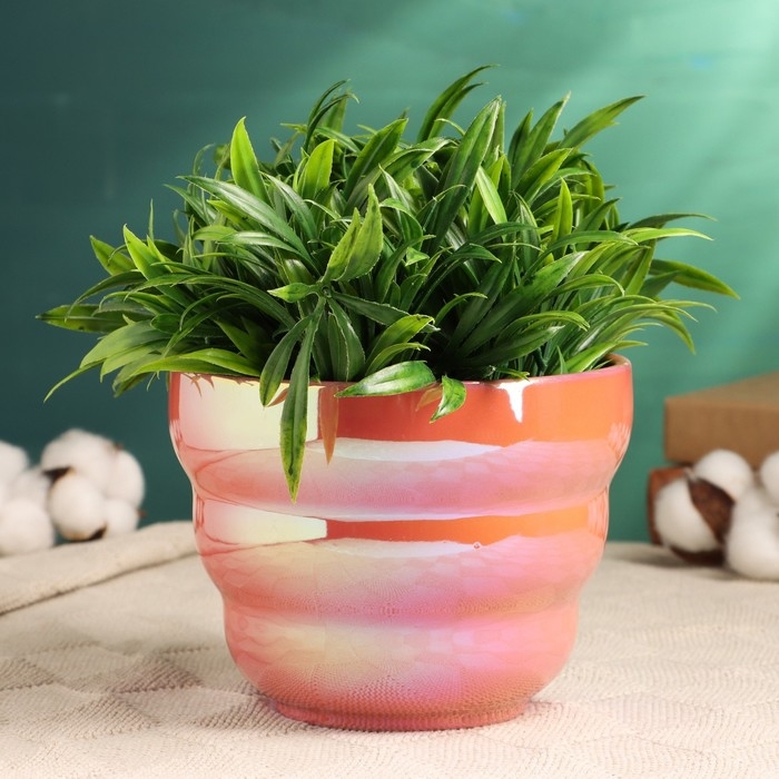 Кашпо  Кашпо "Хелена" розовое, 14х14х11см