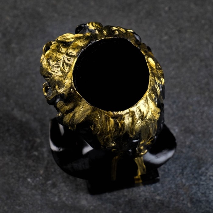 Кашпо - органайзер  Кашпо - органайзер "Бюст Давида" черный, 17х9х10см