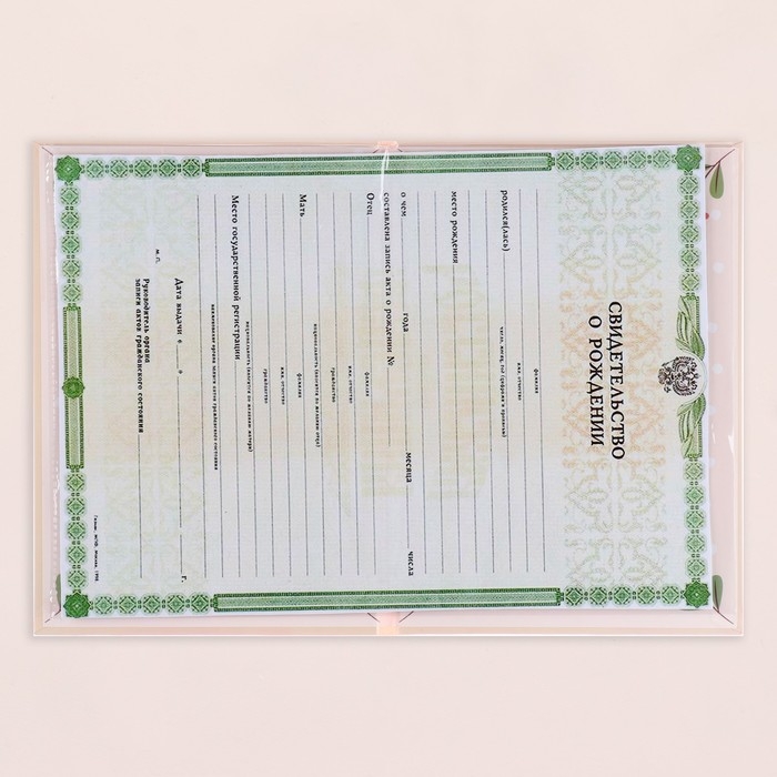 Папка под свидетельство о рождении  Папка под свидетельство о рождении "Девочка" бантик, веточки, А5