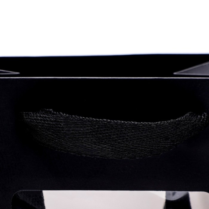 Пакет подарочный, с окном, 20 х 15 х 10 см, черный, 1шт. Пакет подарочный, с окном, 20 х 15 х 10 см, черный, 1шт.