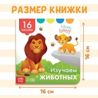 Картонная книга с окошками «Изучаем животных», 10 стр., 16 окошек, Дисней