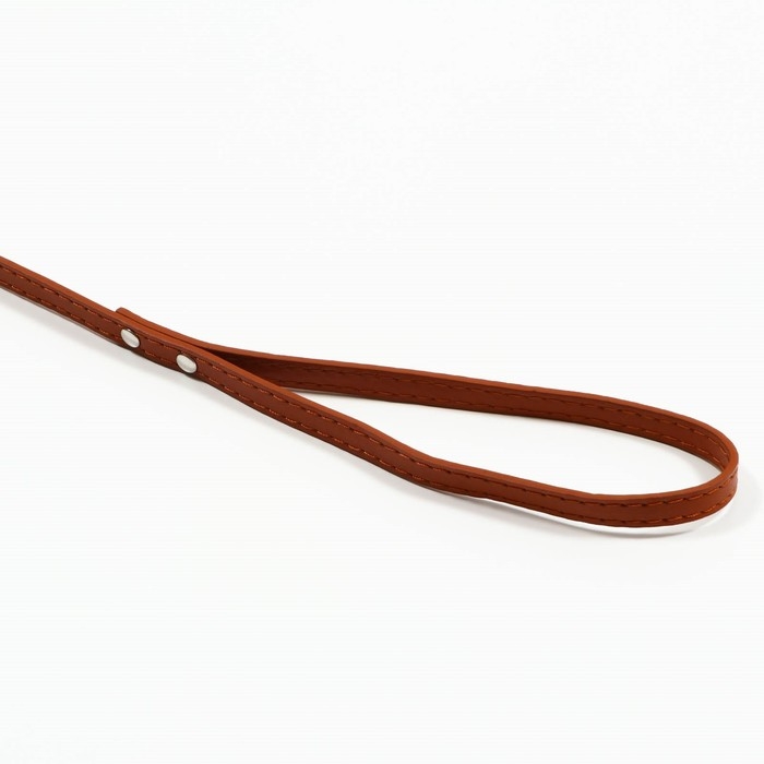Поводок  Поводок "Основа" 120 х 1 см, коричневый