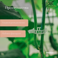 Клипса садовая, d = 25 мм, набор 50 шт., Greengo