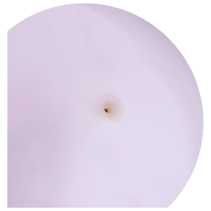 Мяч детский «Динозаврики», d=25 см, цвет МИКС Мяч детский «Динозаврики», d=25 см, цвет МИКС