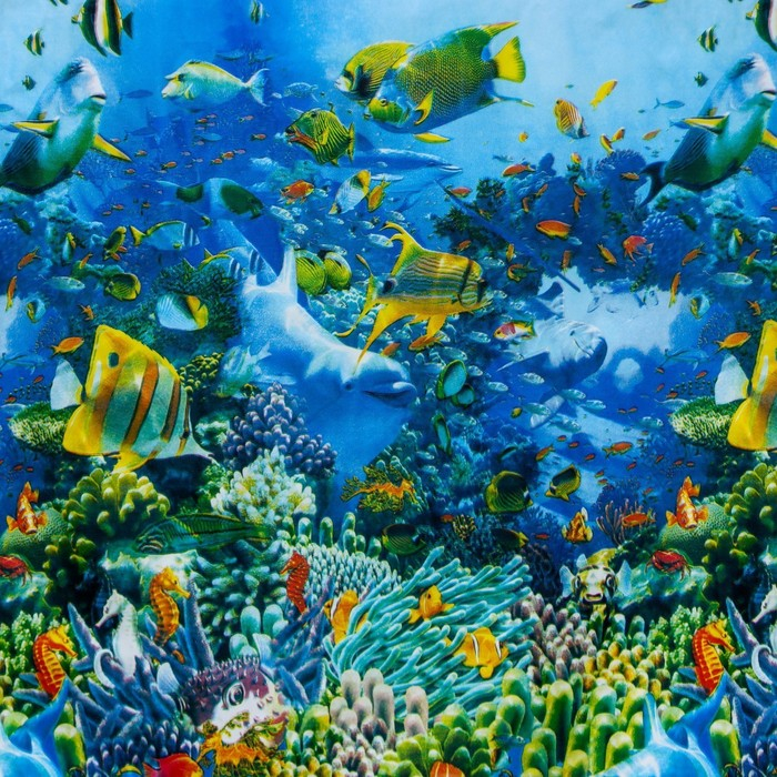 Штора для ванны Доляна «Морская», 180×180 см, EVA Штора для ванны Доляна «Морская», 180×180 см, EVA