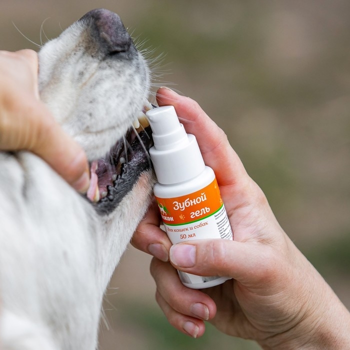 Зубной гель  Зубной гель "Пижон"  для кошек и собак, ферменты и прополис, 50 мл