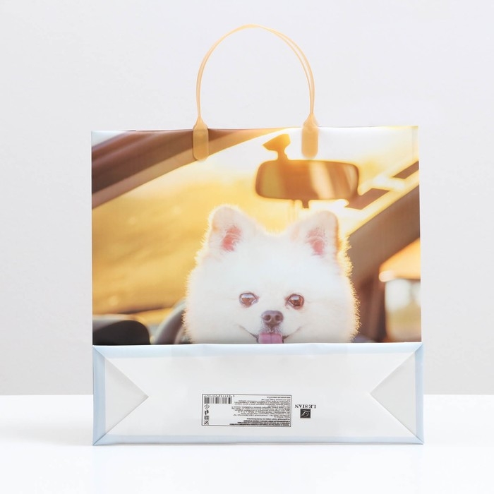 Пакет Пакет "Белый шпиц", мягкий пластик, 30 x 30 см, 100 мкм