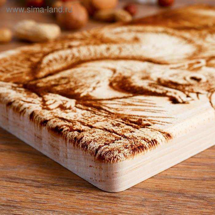 Доска из массива кедра «Бельчонок», прямоугольная, 18 × 28 см Доска из массива кедра «Бельчонок», прямоугольная, 18 × 28 см