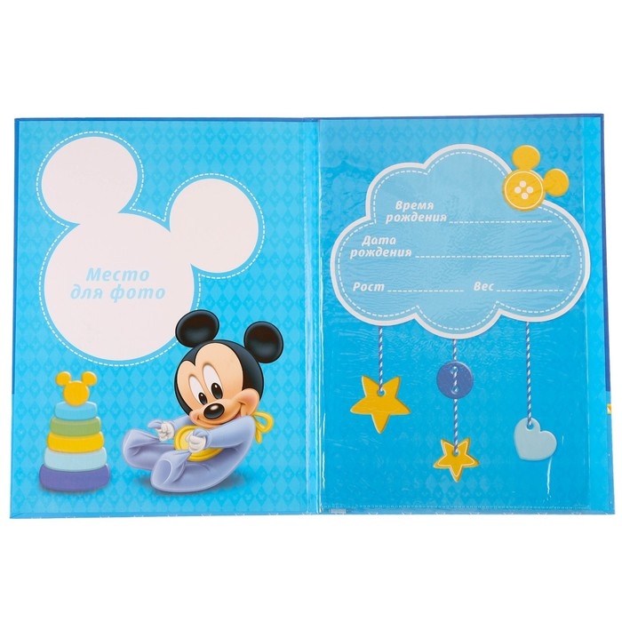 Обложка для документов набор Обложка для документов набор "Мои первые документы", Микки Маус, 21х30 см