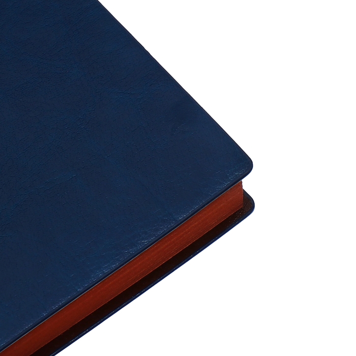 Органайзер, А6, 116 листов, клетка, обложка кожзам, коричневый срез, синий Органайзер, А6, 116 листов, клетка, обложка кожзам, коричневый срез, синий