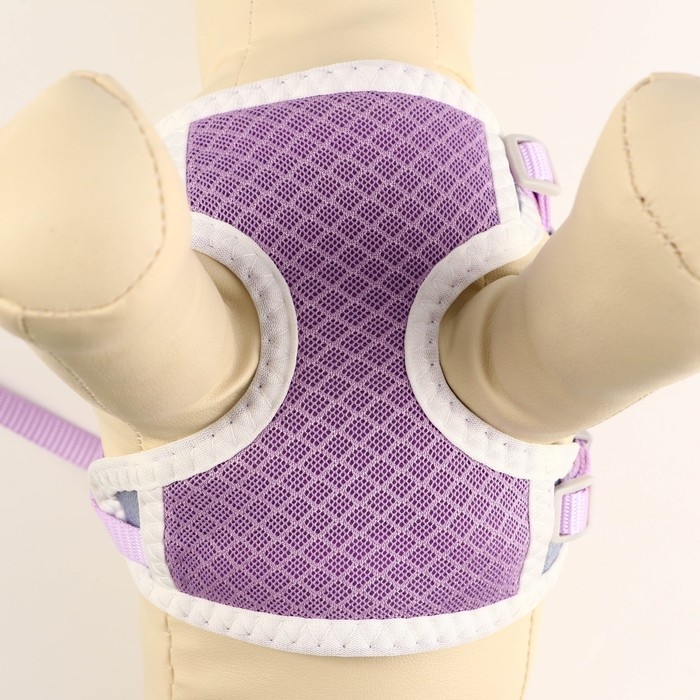 Комплект амуниции с мягкой шлейкой, S, поводок 120 х 1 см, ОШ 20-35 см, ОГ 20-35 см, сиреневый 71490 Комплект амуниции с мягкой шлейкой, S, поводок 120 х 1 см, ОШ 20-35 см, ОГ 20-35 см, сиреневый 71490