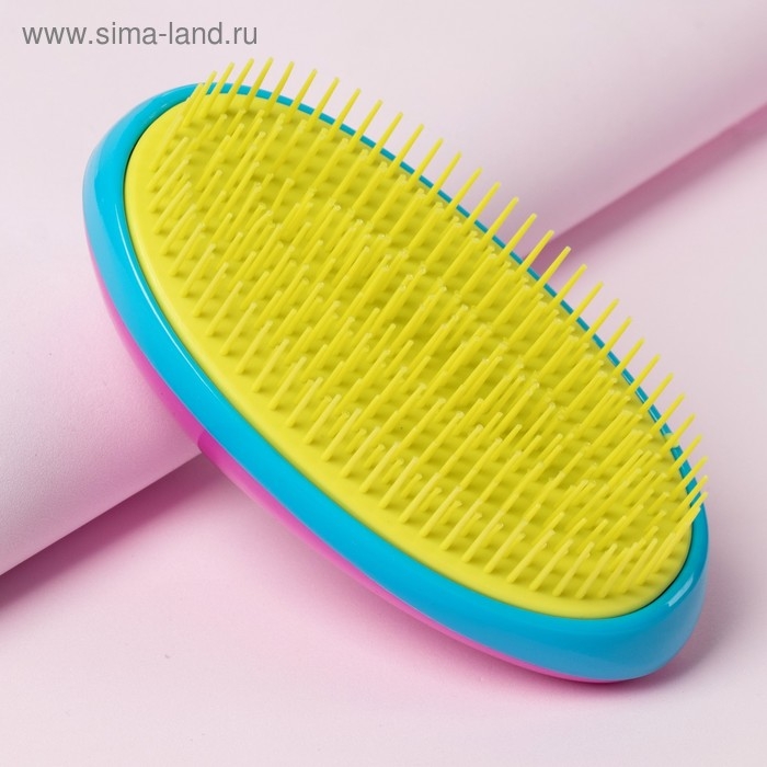 Расчёска массажная, 6,5 × 12 см, PVC коробка, разноцветная Расчёска массажная, 6,5 × 12 см, PVC коробка, разноцветная