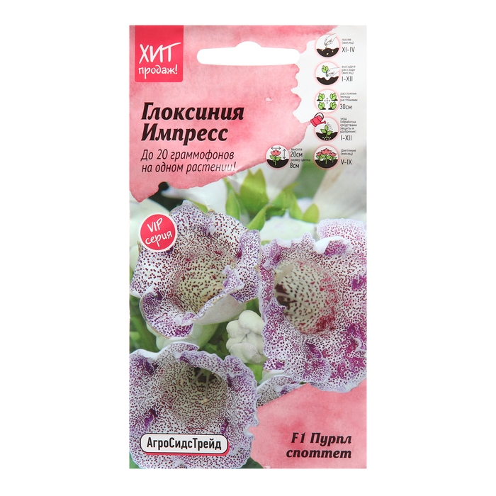 Семена цветов Глоксиния  Семена цветов Глоксиния "Импресс F1 Пурпл Споттет", 5 шт