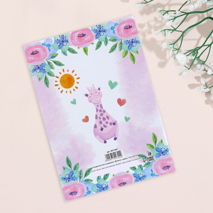 Папка под свидетельство о рождении  Папка под свидетельство о рождении "Малыш" радуга, А5