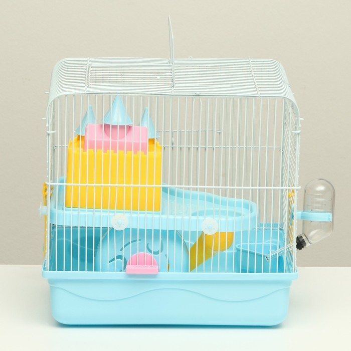 Клетка для грызунов Клетка для грызунов "Пижон" с замком, 31 х 24 х 27 см, голубая