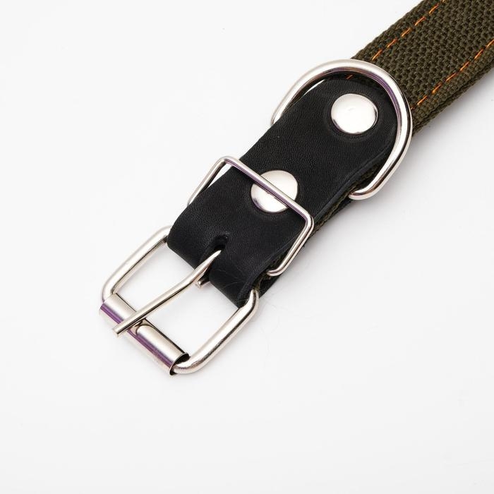 Ошейник брезентовый двухслойный, 62 х 3 см, ОШ 30-55 см, тёмно-зелёный Ошейник брезентовый двухслойный, 62 х 3 см, ОШ 30-55 см, тёмно-зелёный