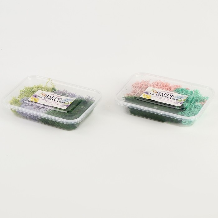 Набор сухоцветов «Мох», цвет МИКС Набор сухоцветов «Мох», цвет МИКС