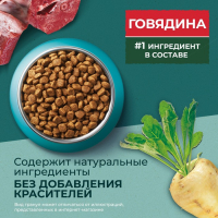 Сухой корм Purina One "Природа здоровья" для стерилизованных кошек, говядина, 680 г