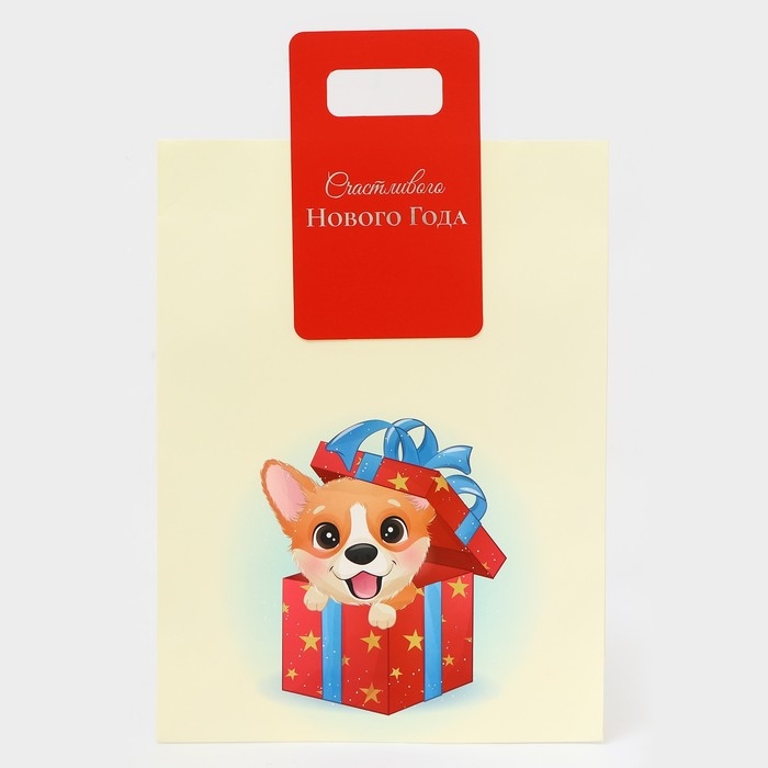 Пакет подарочный новогодний с вырубной ручкой Пакет подарочный новогодний с вырубной ручкой "Лучший подарок" 30 х 40 х 12 см.