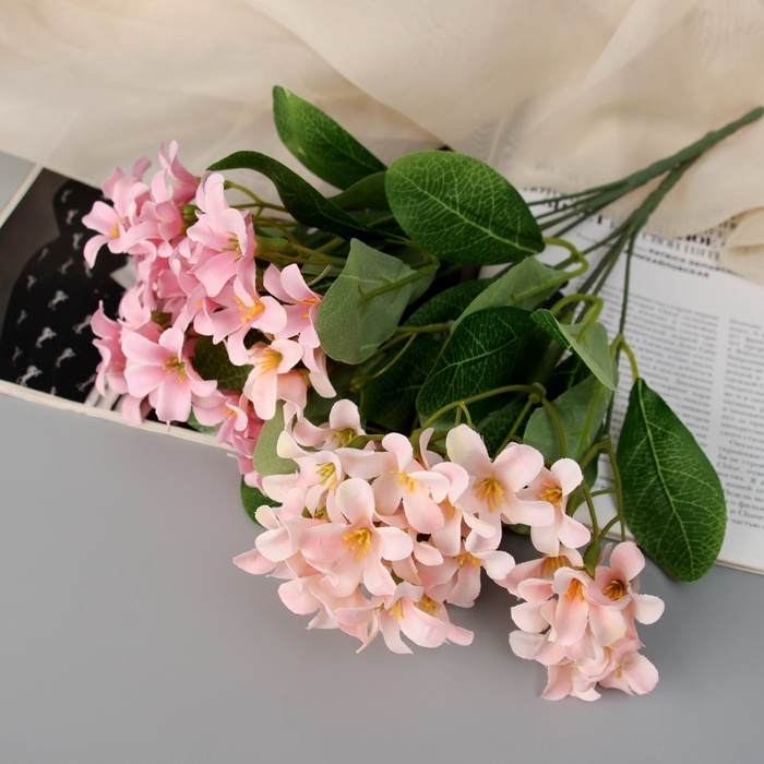 Букет Букет "Кампсис элит" 27 см, микс