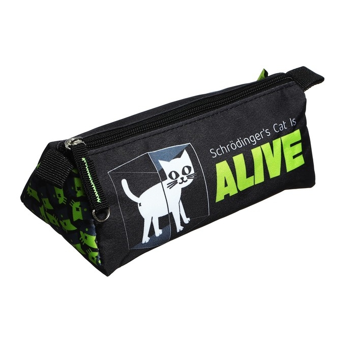 Пенал мягкий, 1 отделение, 85 х 200 х 65 мм, объёмный, Феникс  Пенал мягкий, 1 отделение, 85 х 200 х 65 мм, объёмный, Феникс "Научный кот" чёрный/зелёный 61898