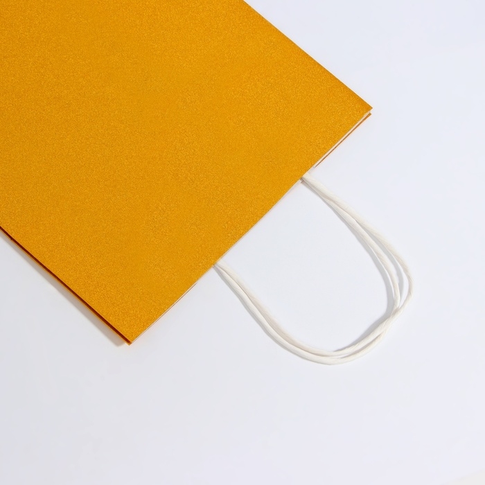 Пакет подарочный бумажный с глиттером золотой, 21 х 11 х 27 см Пакет подарочный бумажный с глиттером золотой, 21 х 11 х 27 см