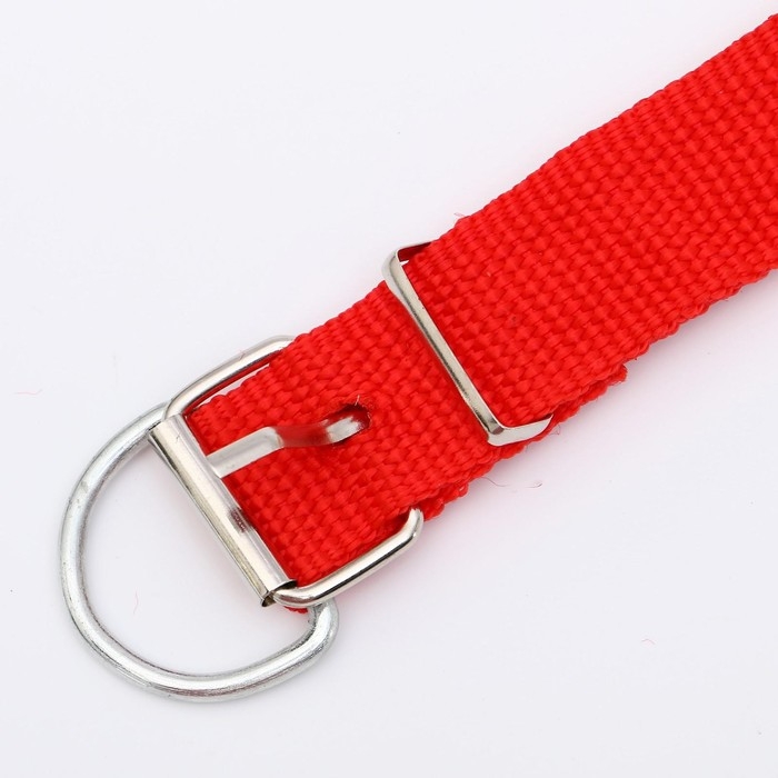 Ошейник для животных Ошейник для животных