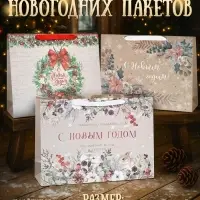 Пакеты подарочные новогодние &laquo;Спешу поздравить&raquo;, набор 3 шт., 31&times;40&times;11 см