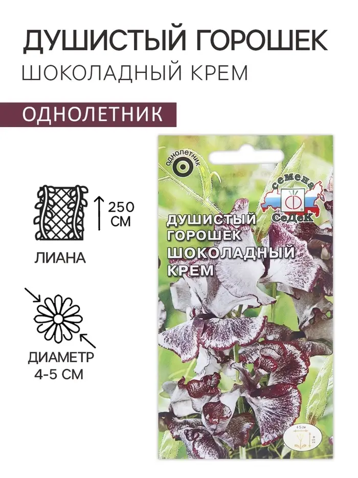 Семена цветов Душистый горошек "Шоколадный крем", 0,5 г Семена цветов Душистый горошек "Шоколадный крем", 0,5 г