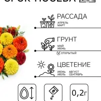 Семена цветов Бархатцы &laquo;Махровые Гиганты&raquo;, ц/п, О, 0.2 г