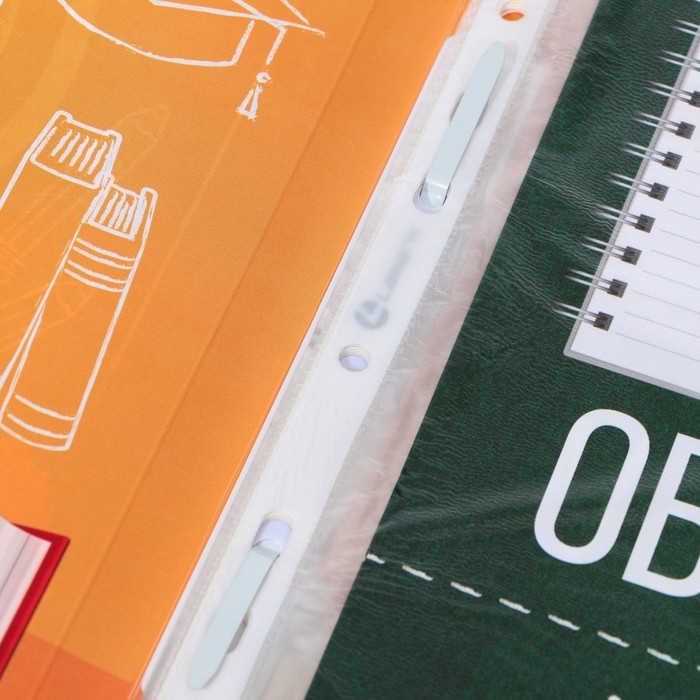 Папка школьная с креплением «Портфолио школьника», 10 листов-разделителей, 21,5 х 30 см.