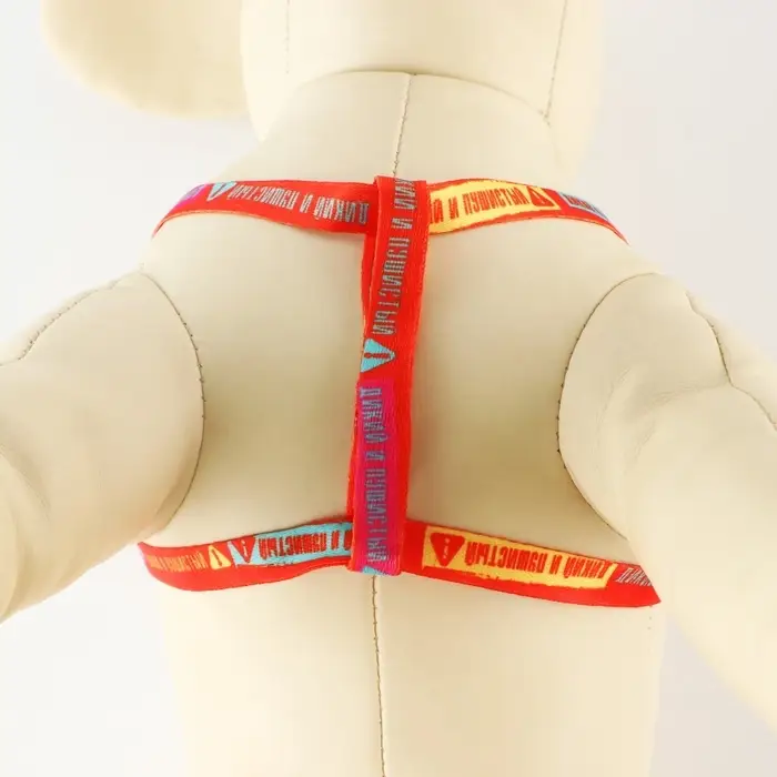 Поводок «Дикий и пушистый» 120×1 см, шлейка 24-36 см