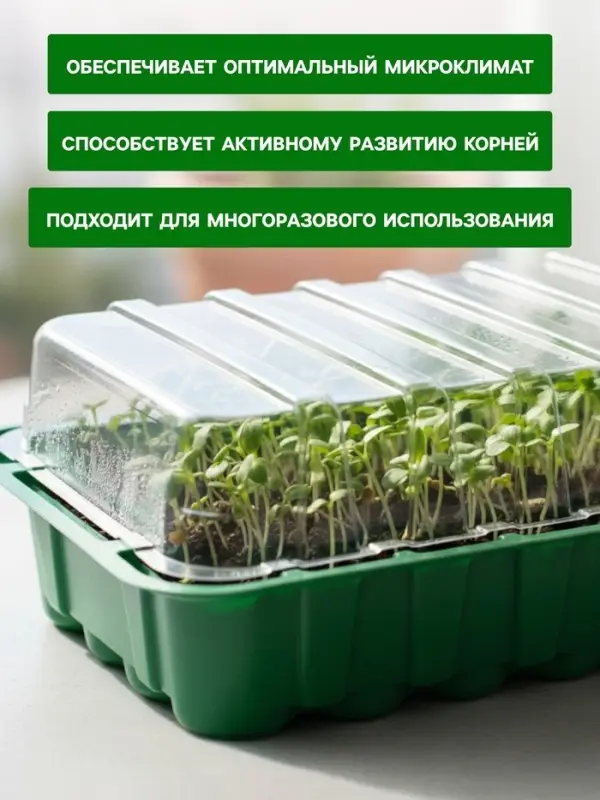 Мини - парник для рассады, 25&times;17.5&times;4.5 см, 24 ячейки под таблетки для рассады d=3 см, пластик, Greengo