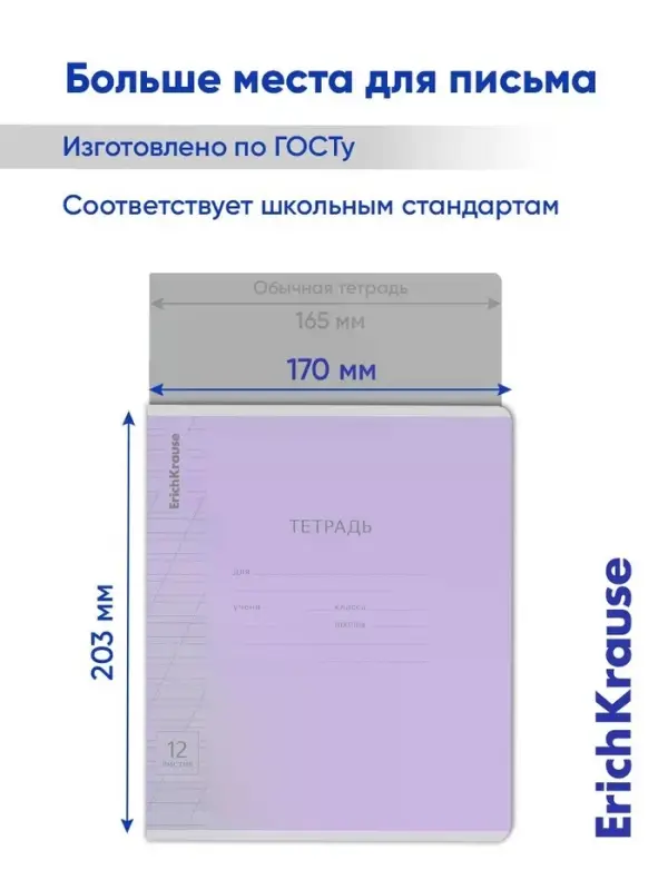 Тетрадь 12 листов, ErichKrause Visio, косая линия, 60 г/м&sup2;, обложка мелованный картон, фиолетовый, блок офсет