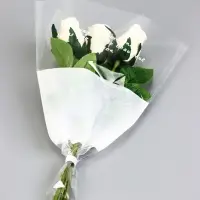 Пакет конус для цветов, с нетканым материалом, 26+7×37 см, белый Пакет конус для цветов, с нетканым материалом, 26+7×37 см, белый