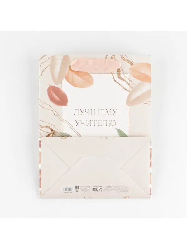 Пакет подарочный ламинированный, упаковка, «Лучшему учителю», MS 18 х 23 х 10 см