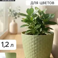 Горшок для цветов с поддоном &laquo;Ротанг&raquo;, 1.2 л, d=13 см, h=12 см, пластиковый, оливковый