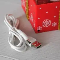 Светодиодная фигура &laquo;Подарок красный&raquo; 10&times;19&times;10 см, пластик, от батареек ААх3, USB, свечение тёплое белое