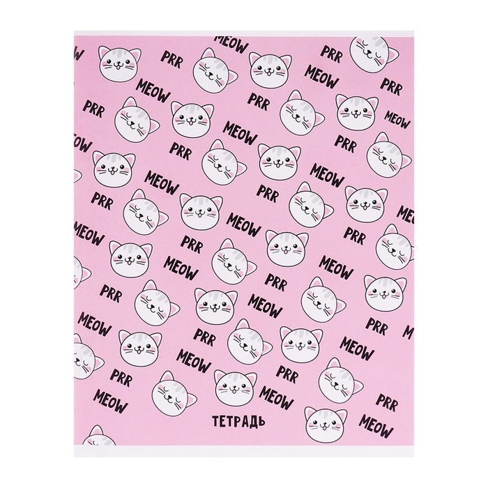 Тетрадь 48 листов в клетку Calligrata Meow, обложка мелованный картон, блок офсет, МИКС