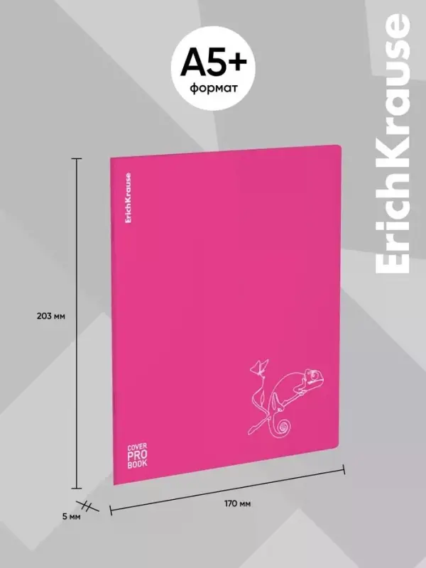Тетрадь 48 листов в клетку ErichKrause Silhouette, 60 г/м&sup2;, обложка мелованный картон, МИКС