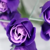 Мыльные розочки, трёхцветные, набор 3 шт., в коробке