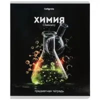 Тетради предметные 12 шт. &laquo;Черная серия&raquo;, 48 листов, со справочной информацией