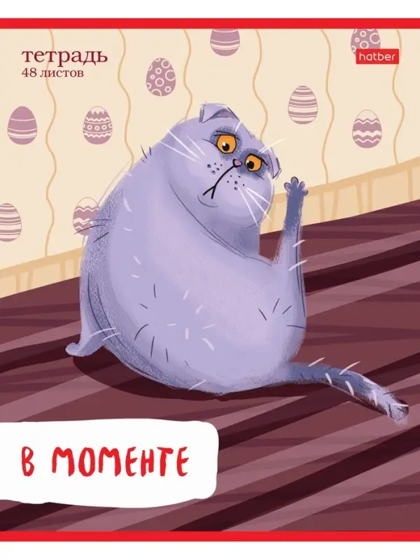 Тетрадь 48л А5ф ЛИНИЯ 60-65г/кв.м на скобе Обл. мел.картон 5 диз.в блоке скругл.углы