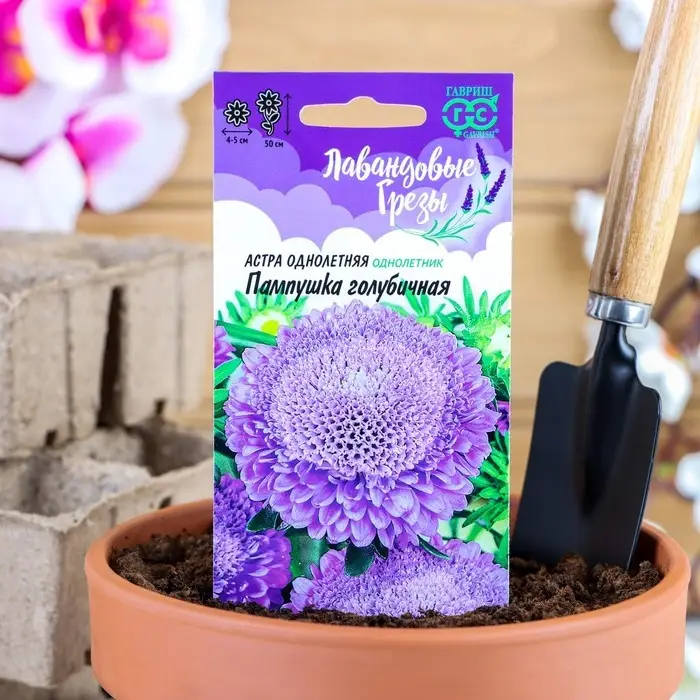 Семена цветов Астра Пампушка голубичная, помпонная, О, ц/п, 0,3 г