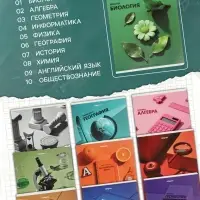 Тетради предметные 12 шт. 48 листов, справочная информация, 60 г